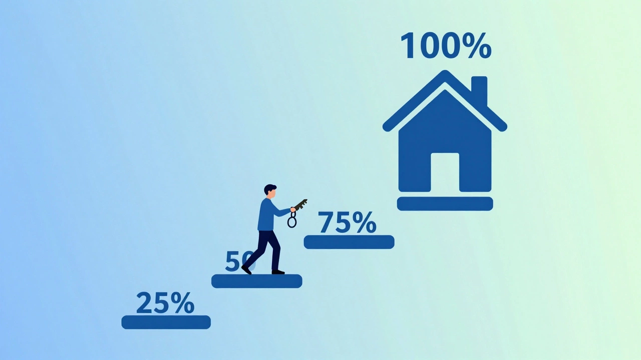 Vector illustration of a staircase leading to a full house, symbolizing equity growth